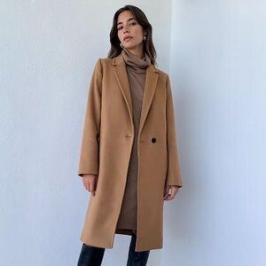 Aritzia Babaton Stedman Wool Coat